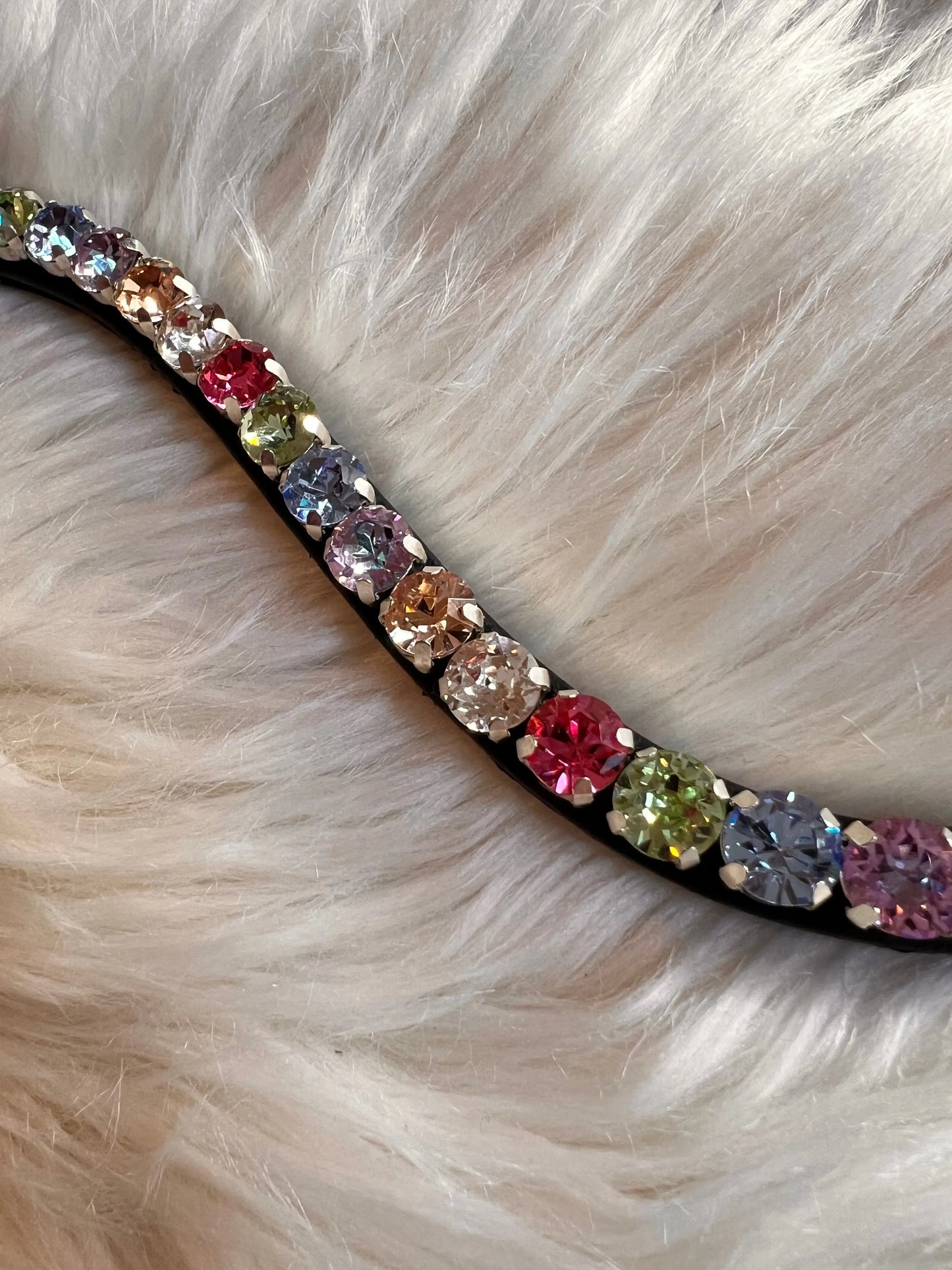 (Kopie) Stirnriemen Blue Paradise CR-Harmonyequestrian