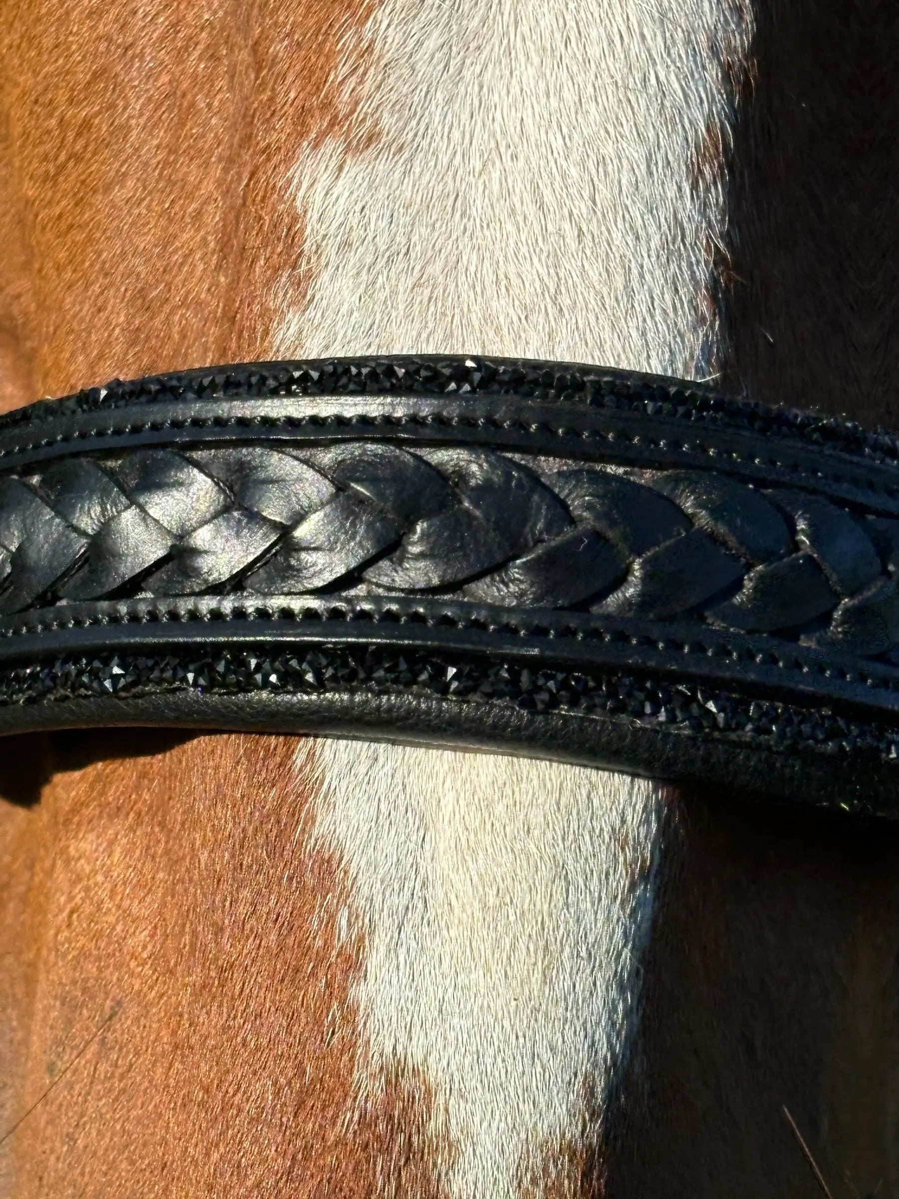 Trense Midnight CR-Harmonyequestrian