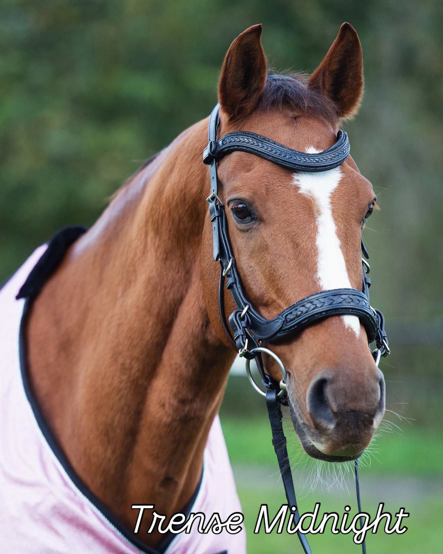 Trense Midnight CR-Harmonyequestrian