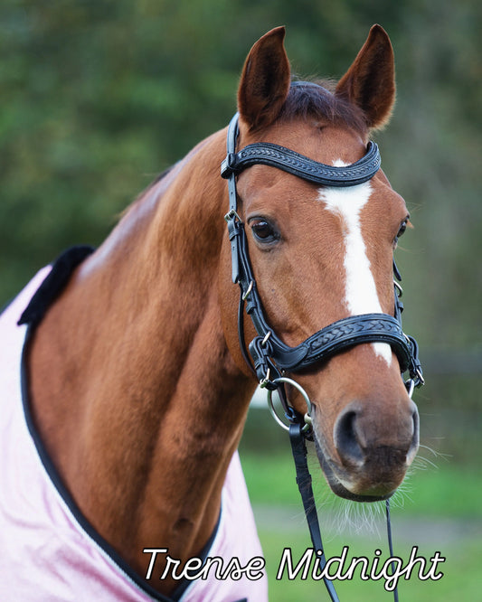 Trense Midnight CR-Harmonyequestrian