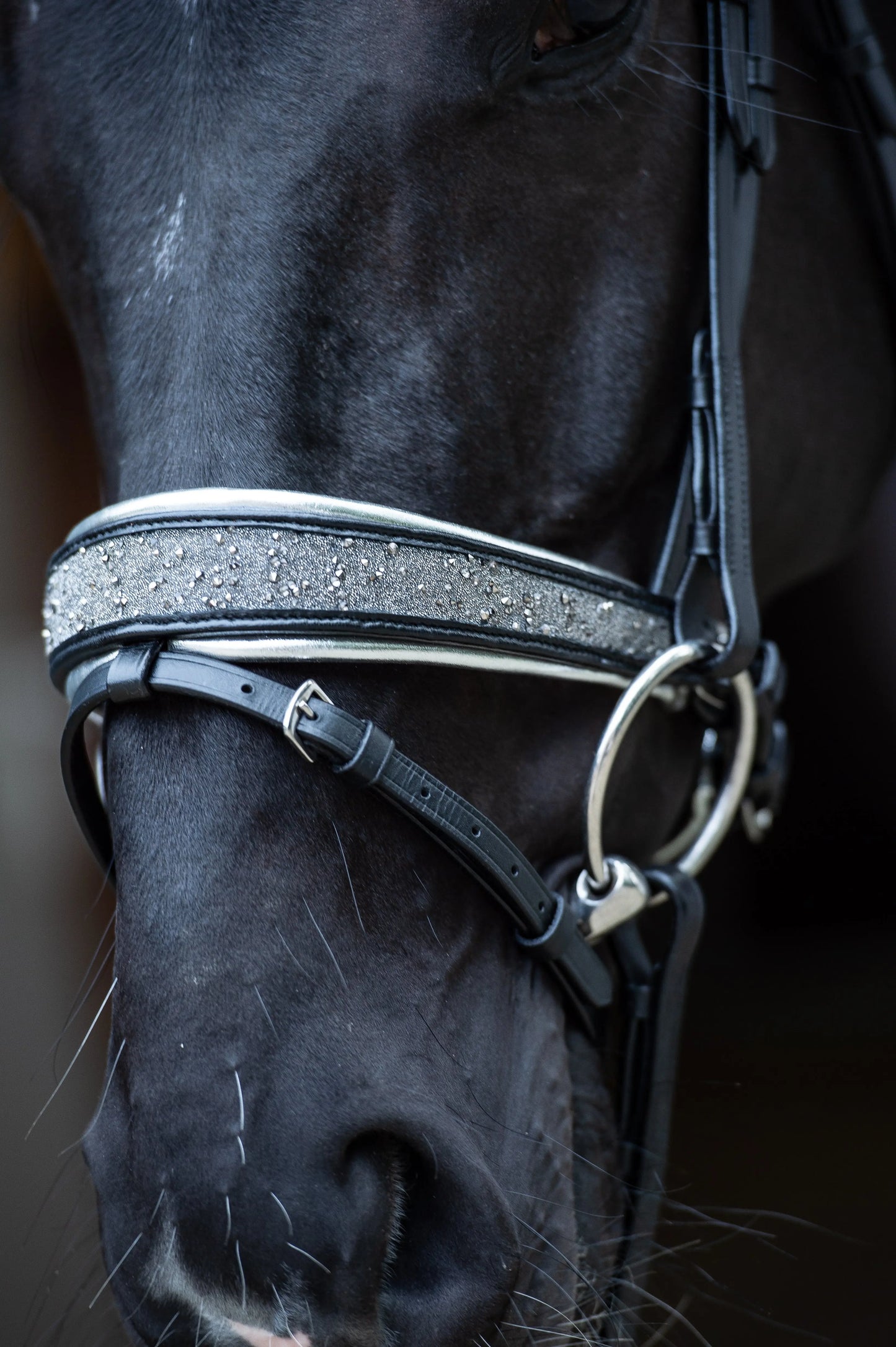 Trense Diamond Dust Vollblut CR-Harmonyequestrian