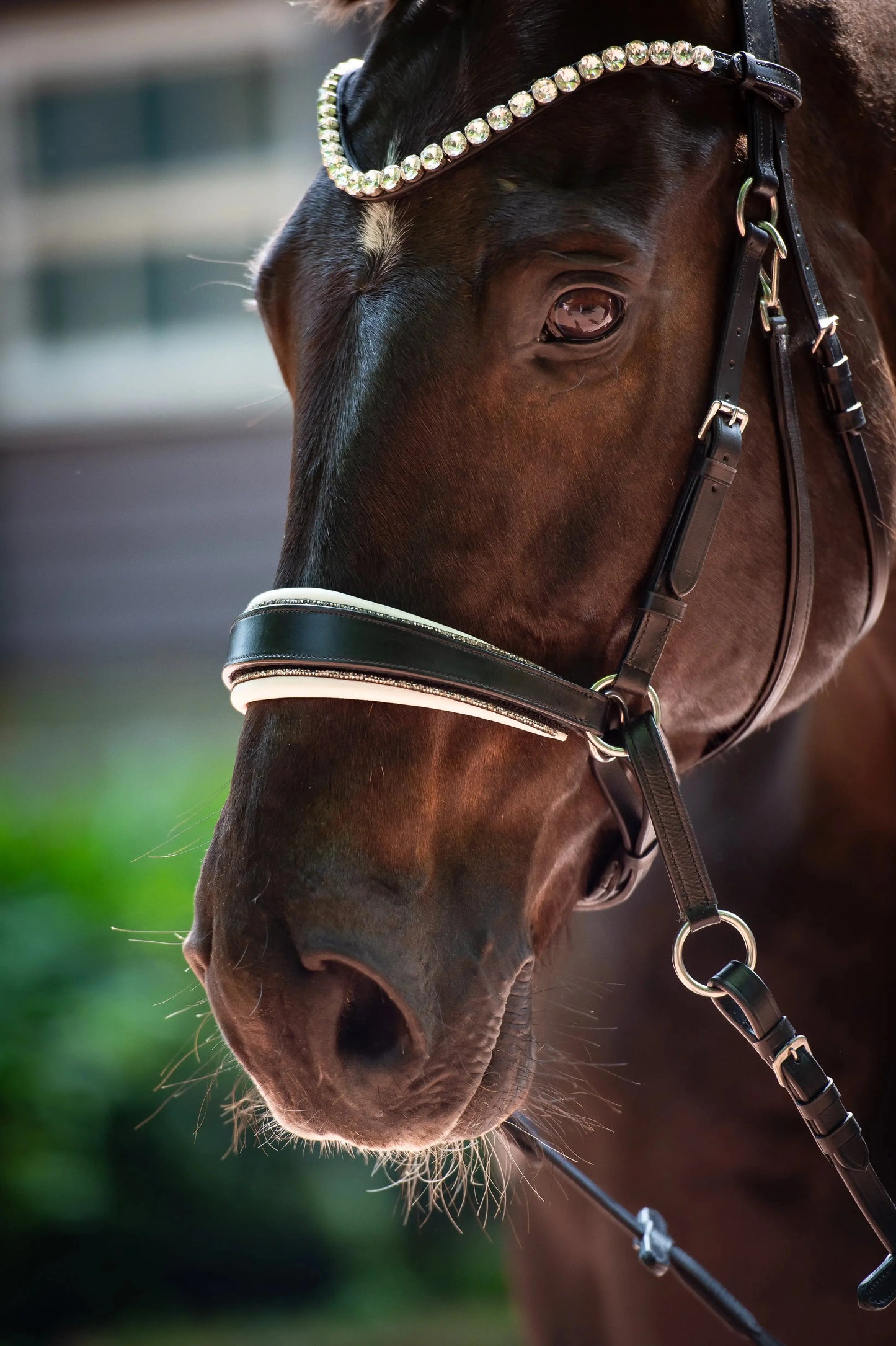 Harmony Bridle - anatomische gebisslose Trense mit Crystal Stirnband ( gebisslose Zäumung Sidepull oder Crossbridle - CR-Harmonyequestrian