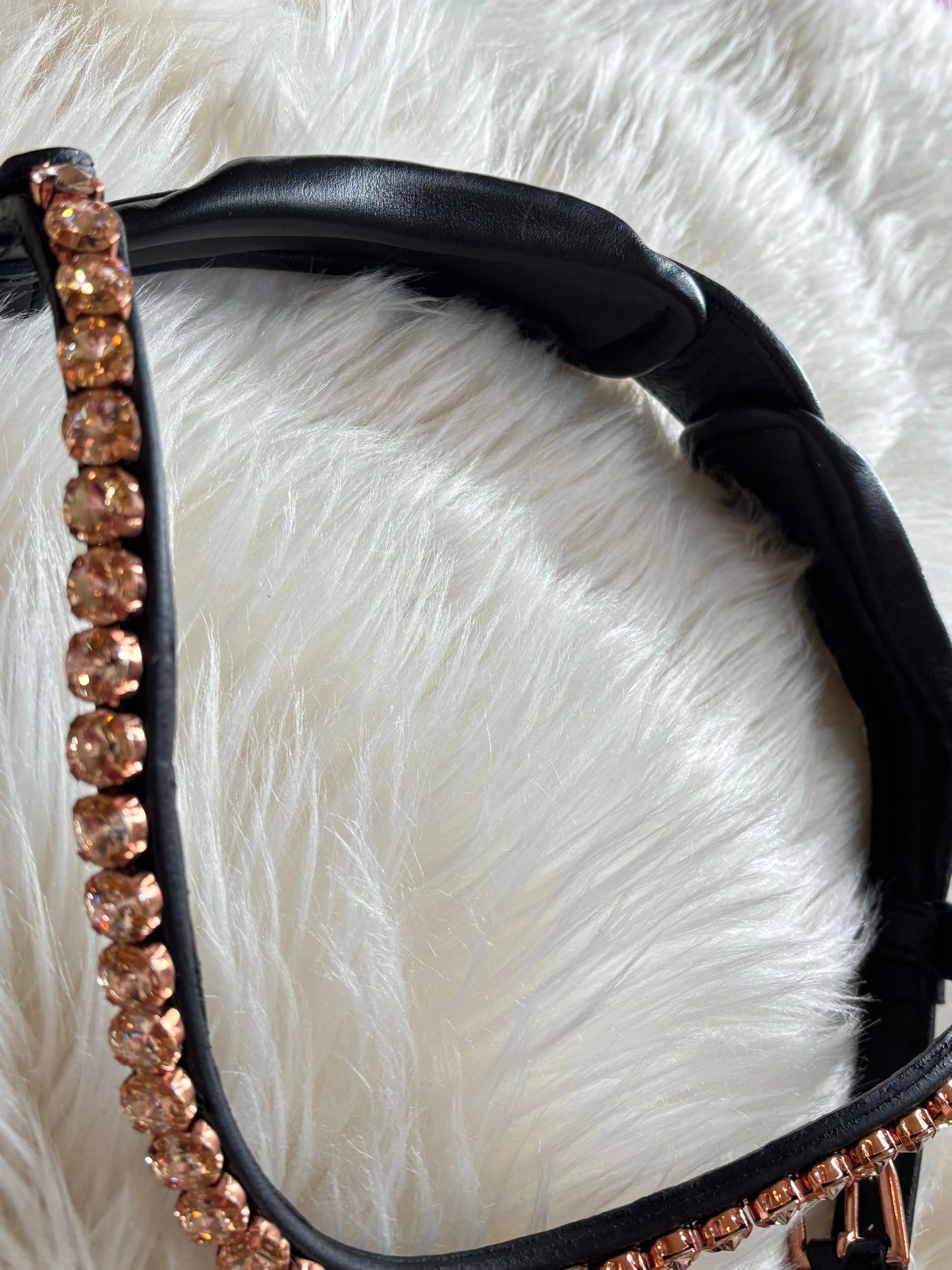 Midnight Supreme - Roségold Edition CR-Harmonyequestrian