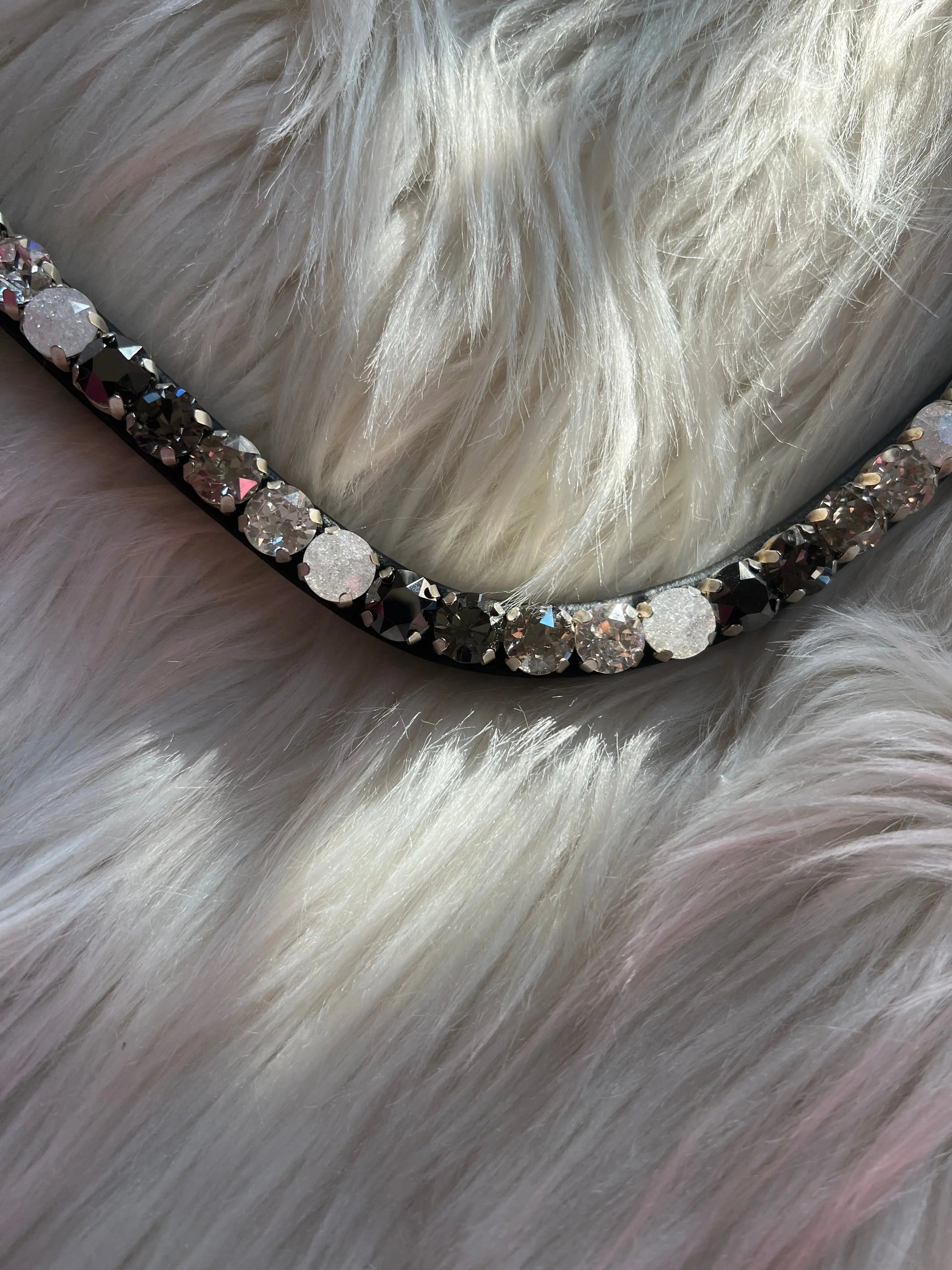 Stirnriemen Black & White CR-Harmonyequestrian