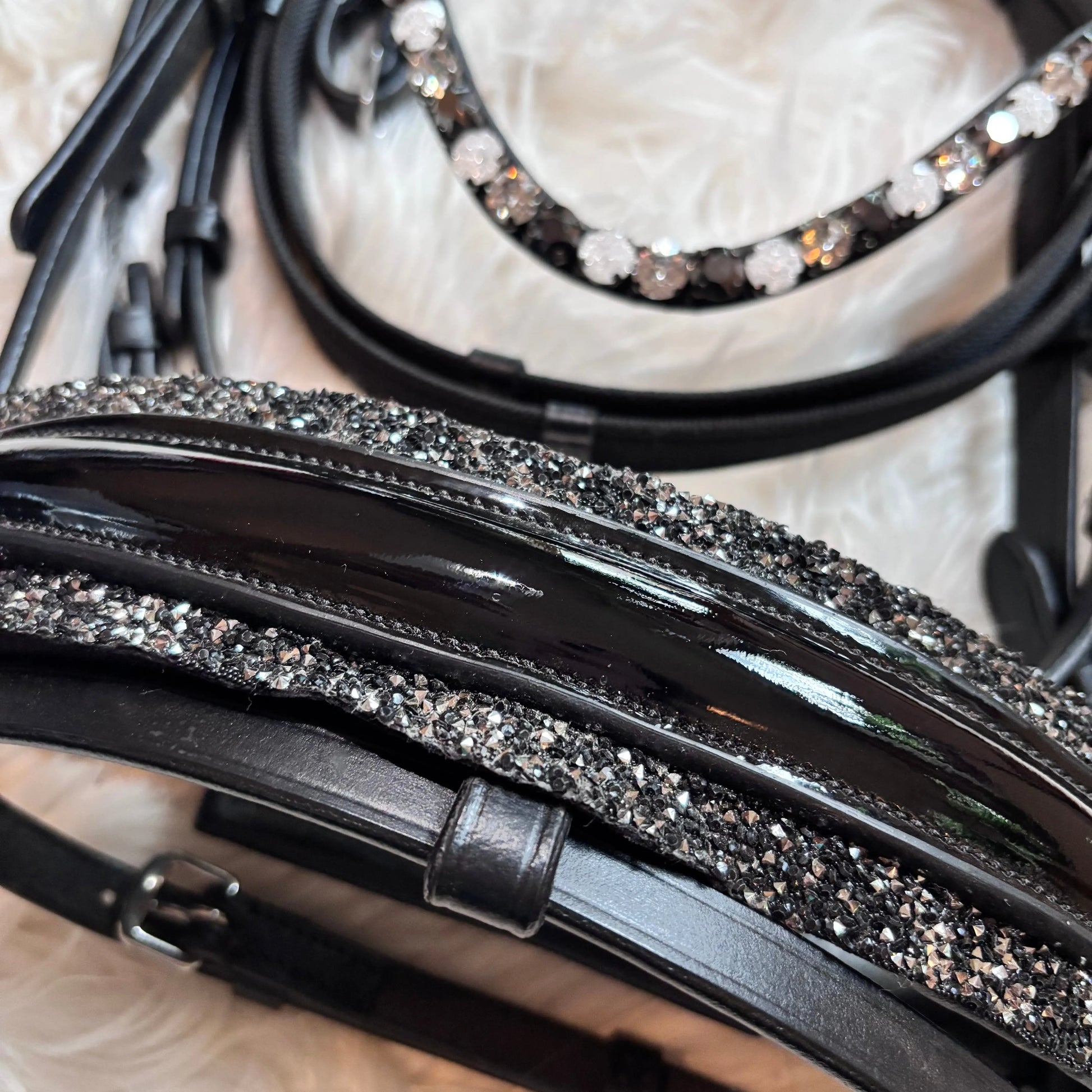 Black Star Ponytrense CR-Harmonyequestrian