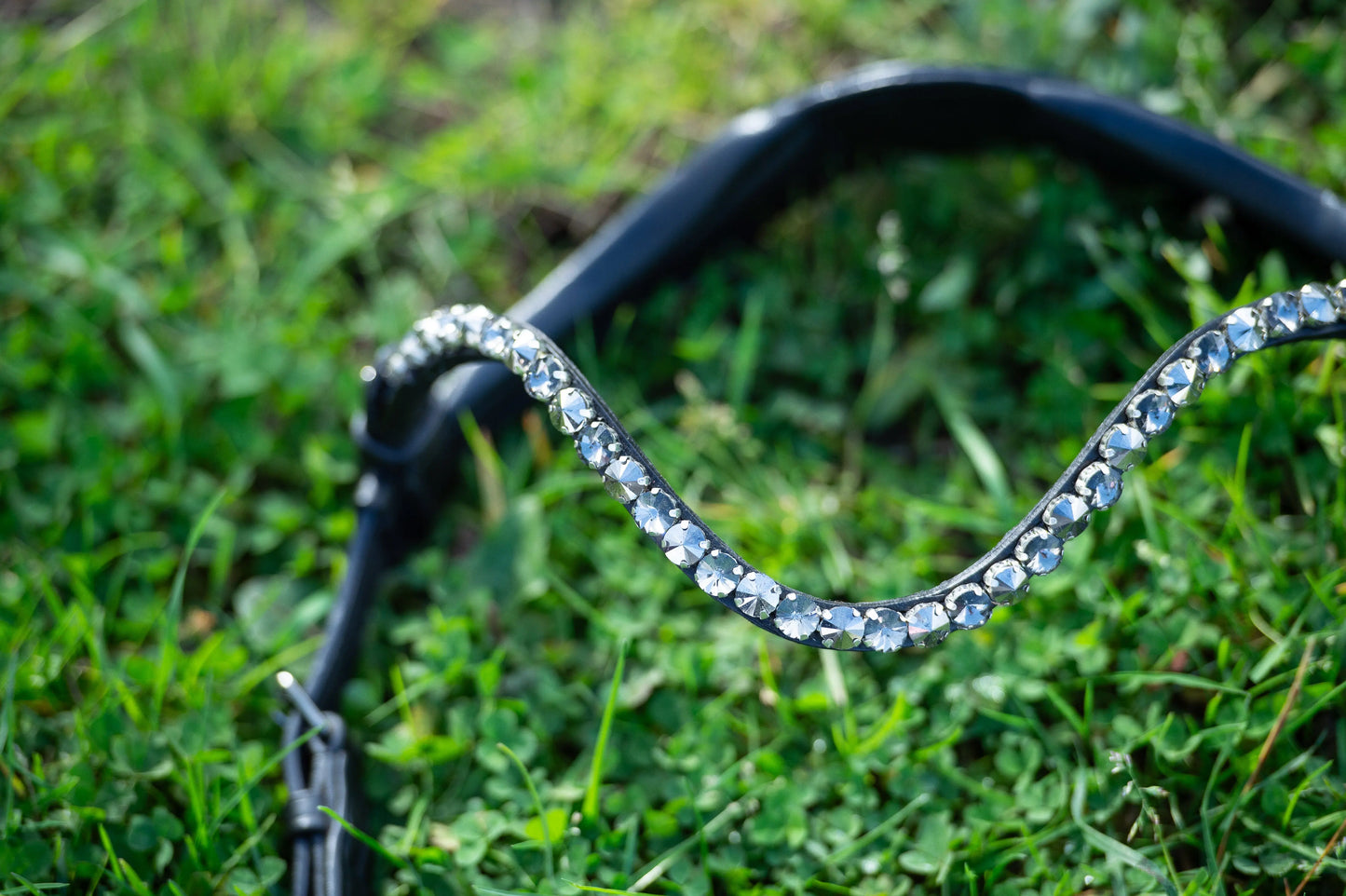 Midnight Supreme - CR-Harmonyequestrian Geflochtene Trense 240.00