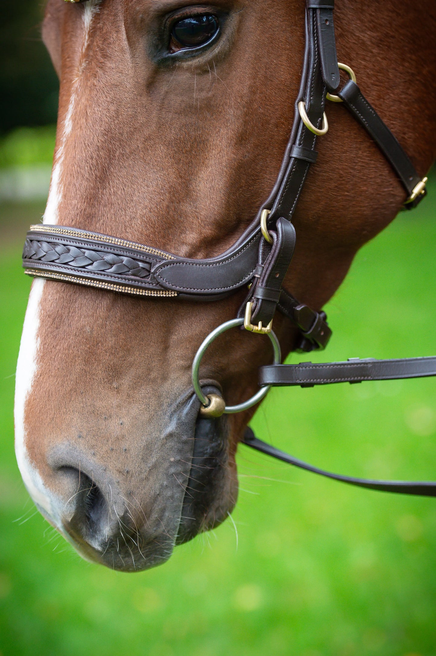 Trense Midnight CR-Harmonyequestrian