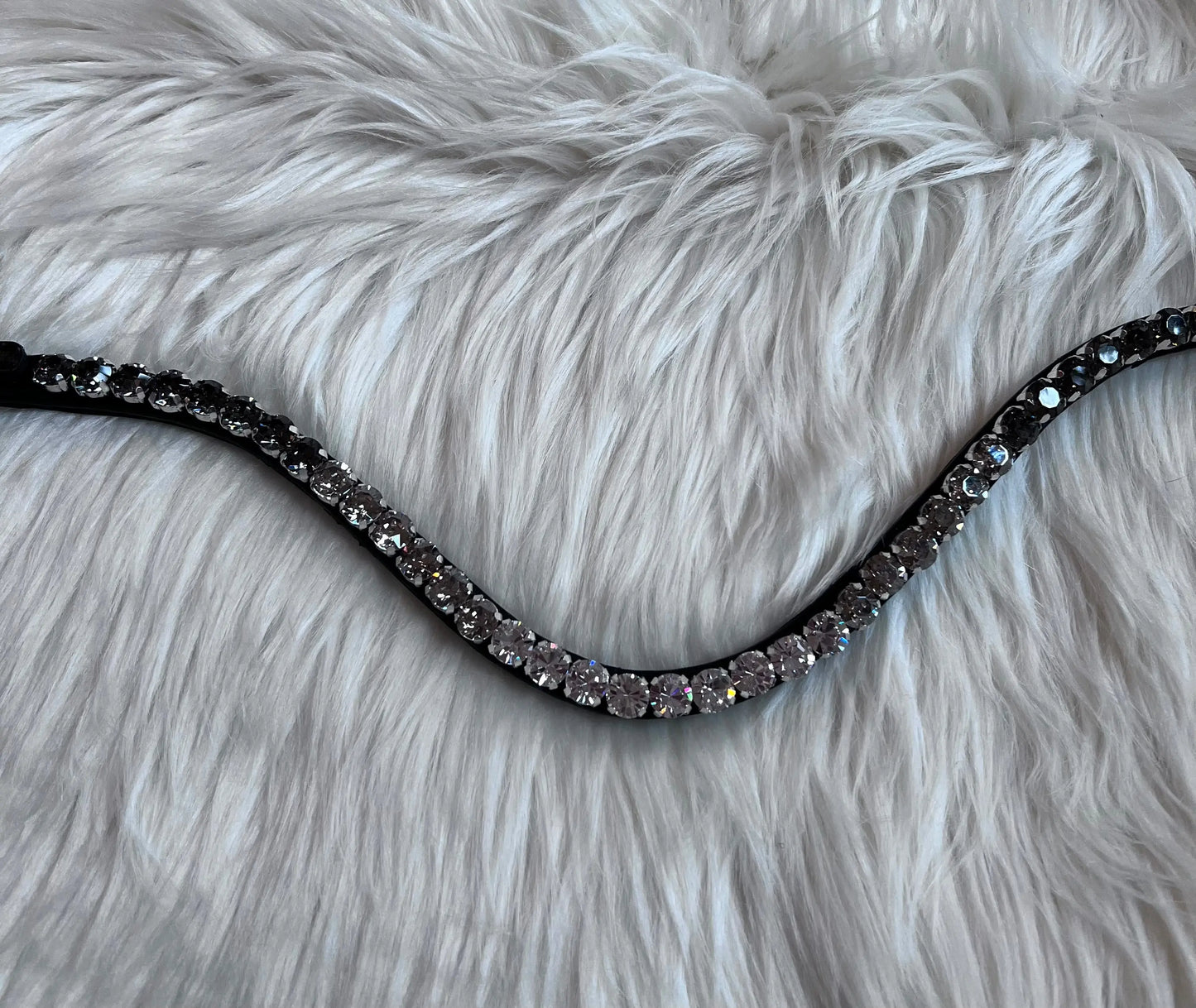 Stirnriemen Dark Light CR-Harmonyequestrian