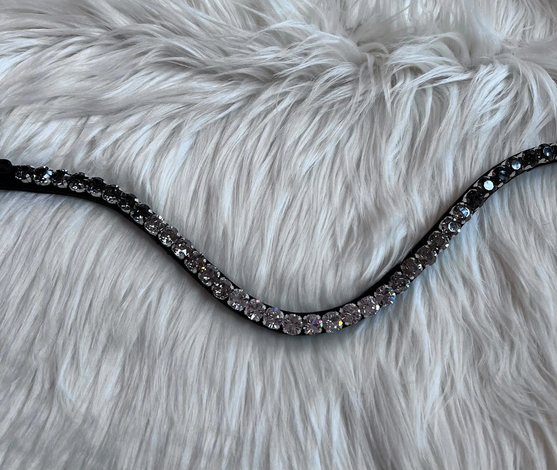 Stirnriemen Dark Light CR-Harmonyequestrian