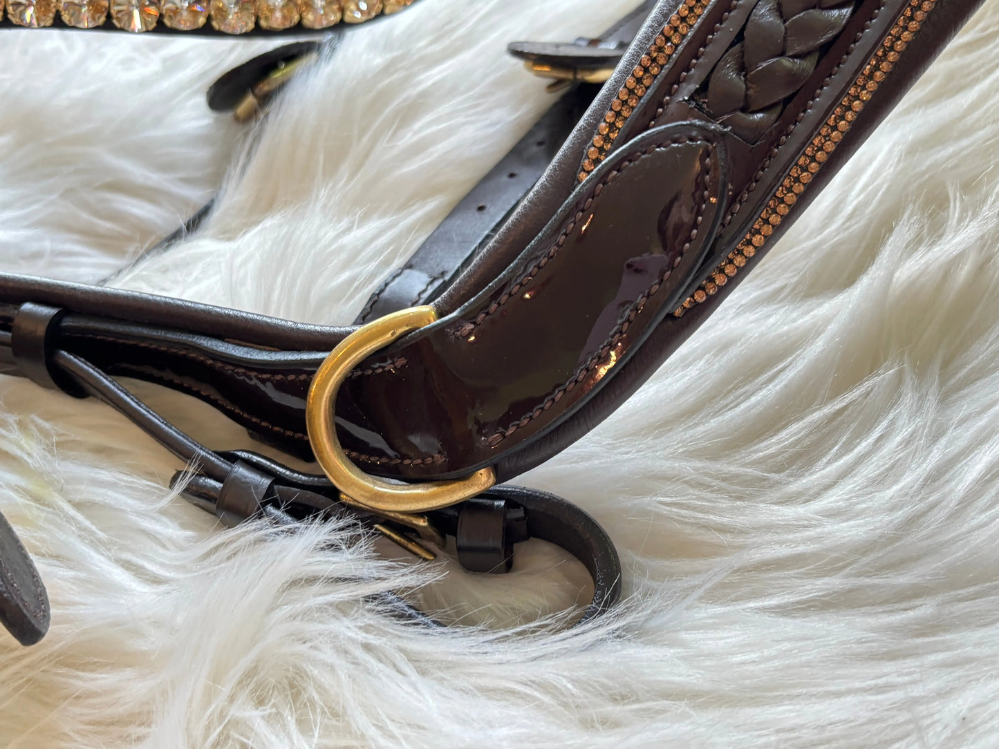 Midnight Supreme – Lack Gold Edition Braun & Schwarz - CR-Harmonyequestrian