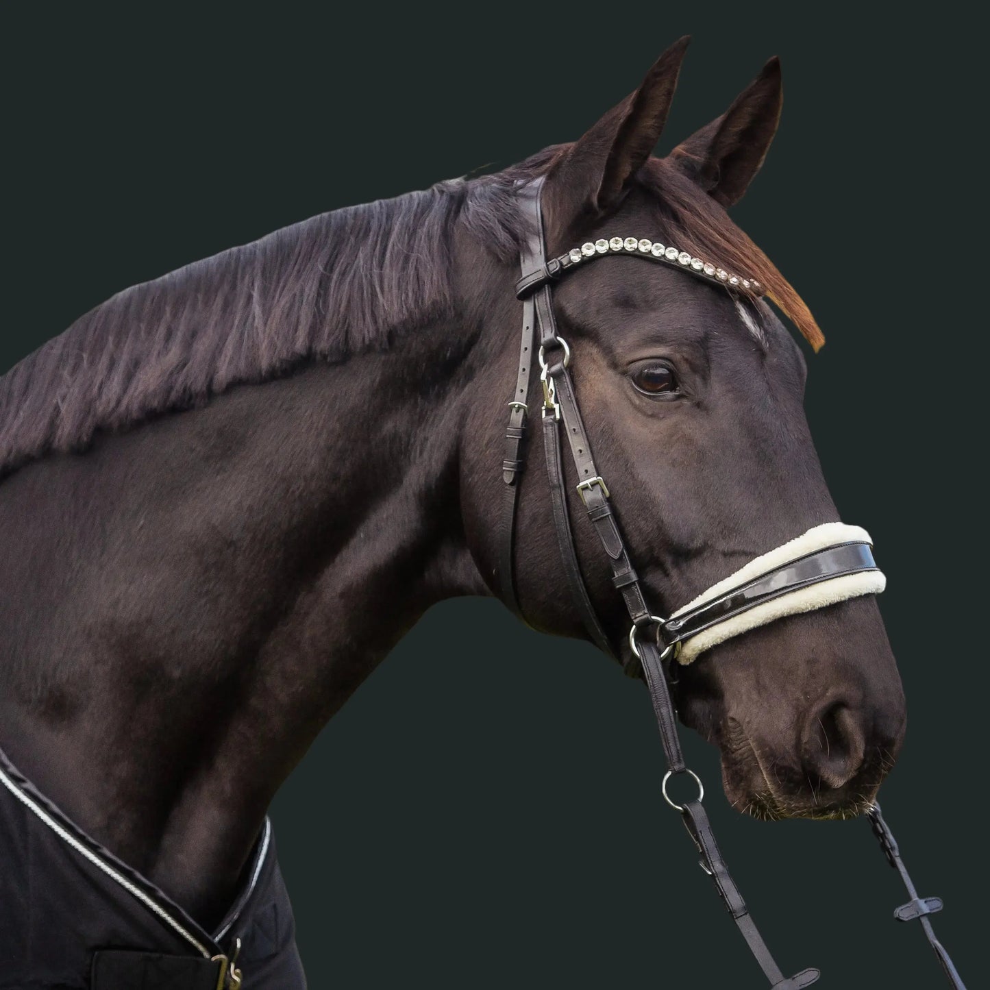 gebisslose Trense in Lack Luxury HB Bridle CR-Harmonyequestrian