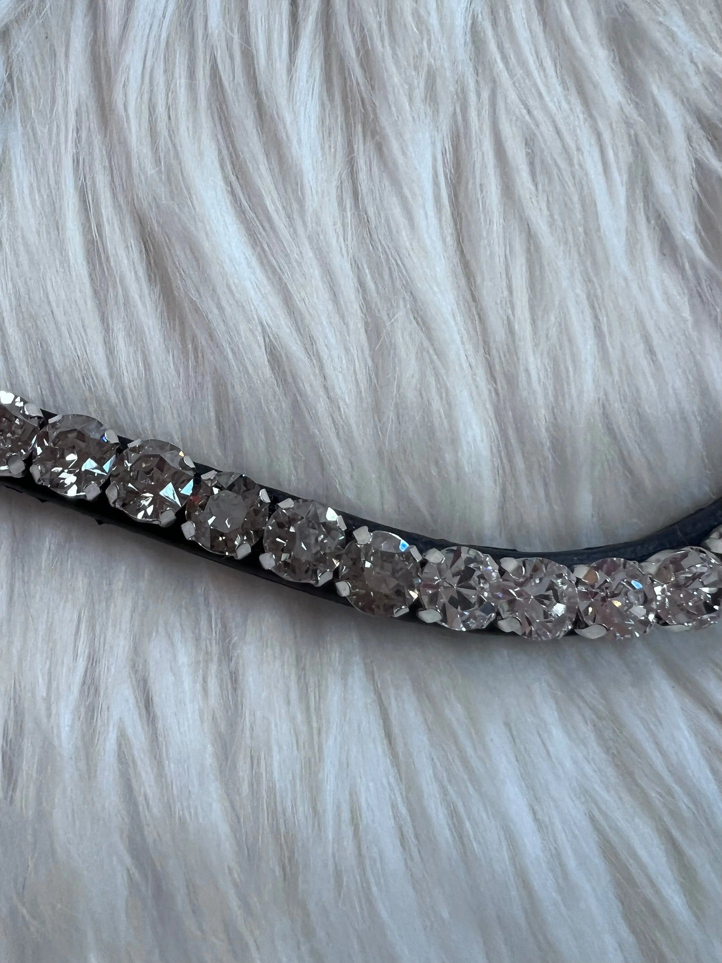 Stirnriemen Dark Light CR-Harmonyequestrian