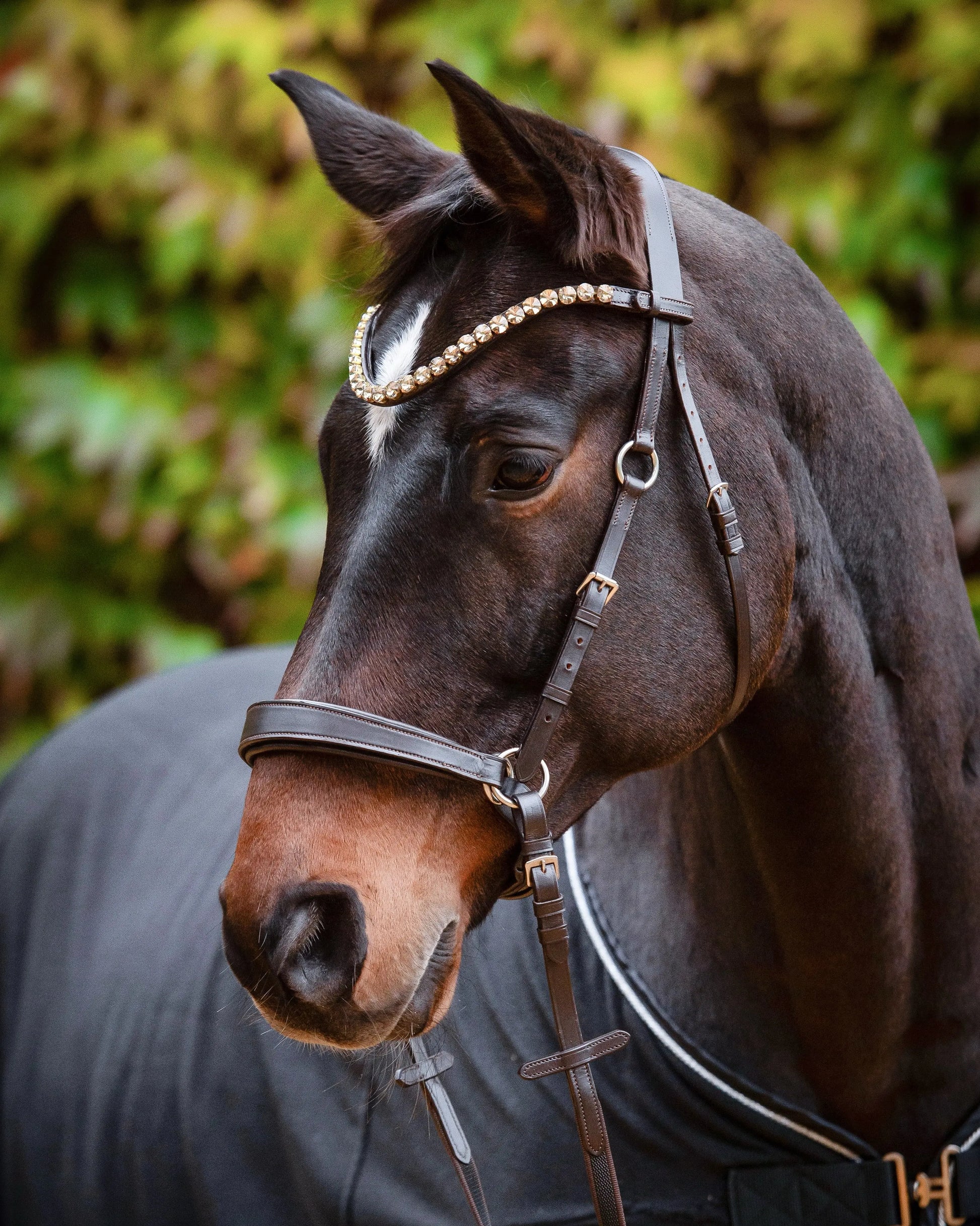 Harmony Bridle - anatomische gebisslose Trense mit Crystal Stirnband ( gebisslose Zäumung Sidepull oder Crossbridle - CR-Harmonyequestrian