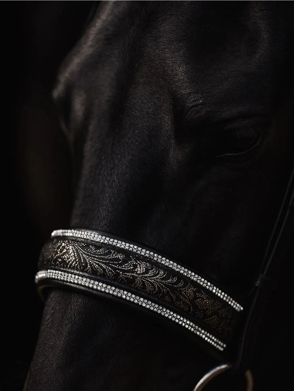 Nasenriemen „Silver Lace“ – 4 Reihen Crystal Rocks & edles Lace-Design CR-Harmonyequestrian