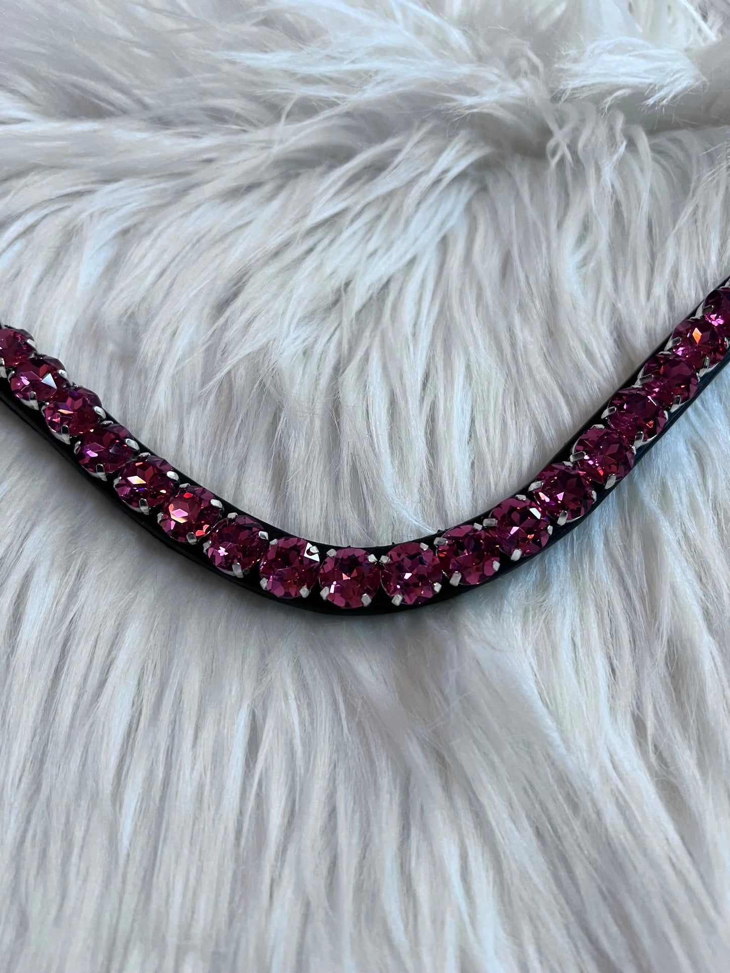 Bandeau frontal Rose Day CR-Harmonyequestrian