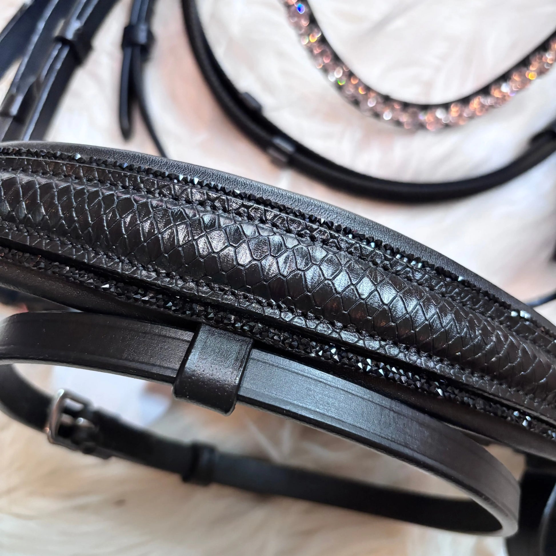 Lizard Black Ponytrense CR-Harmonyequestrian