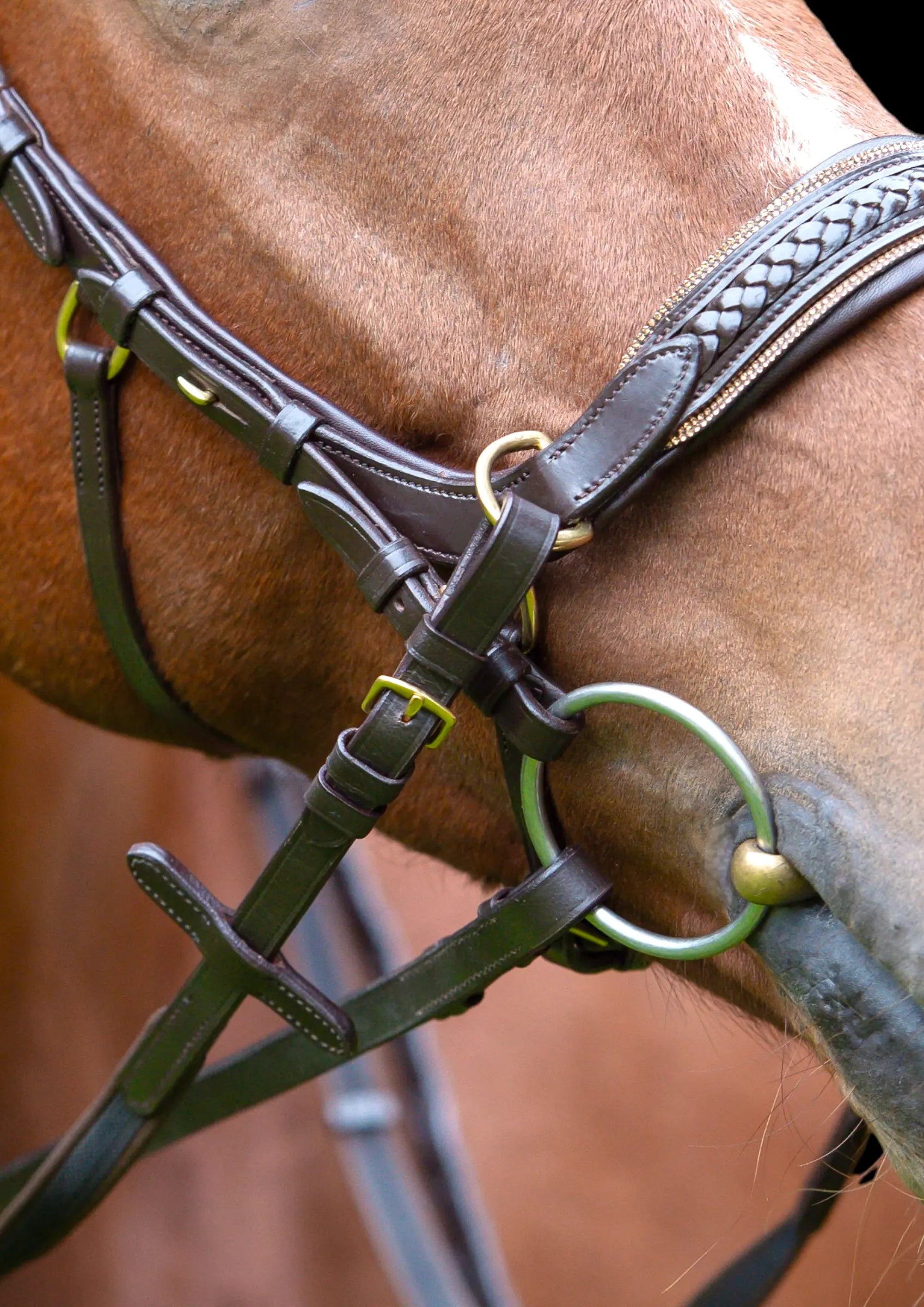 Midnight Supreme - CR-Harmonyequestrian Geflochtene Trense 240.00