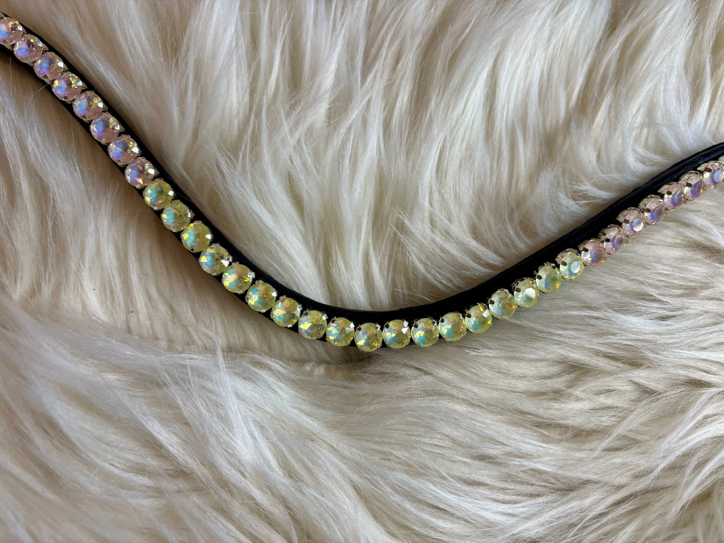 Stirnriemen Electric Vibes CR-Harmonyequestrian