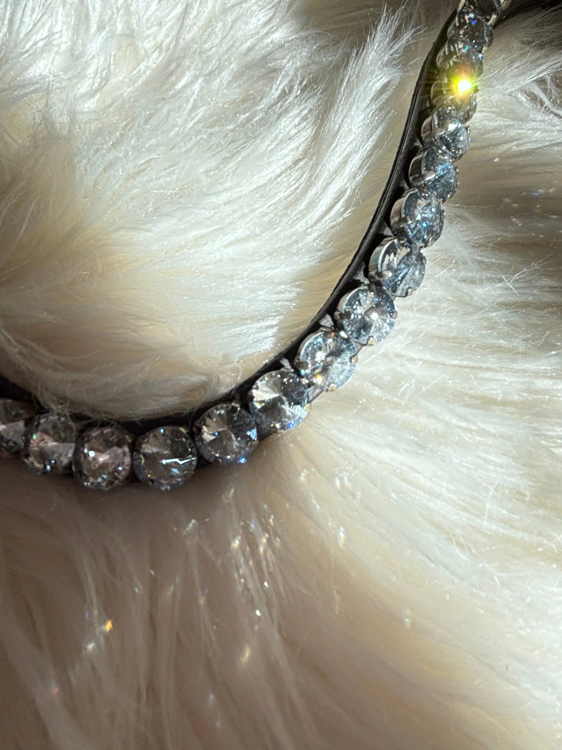 Stirnriemen Big Universe - CR-Harmonyequestrian