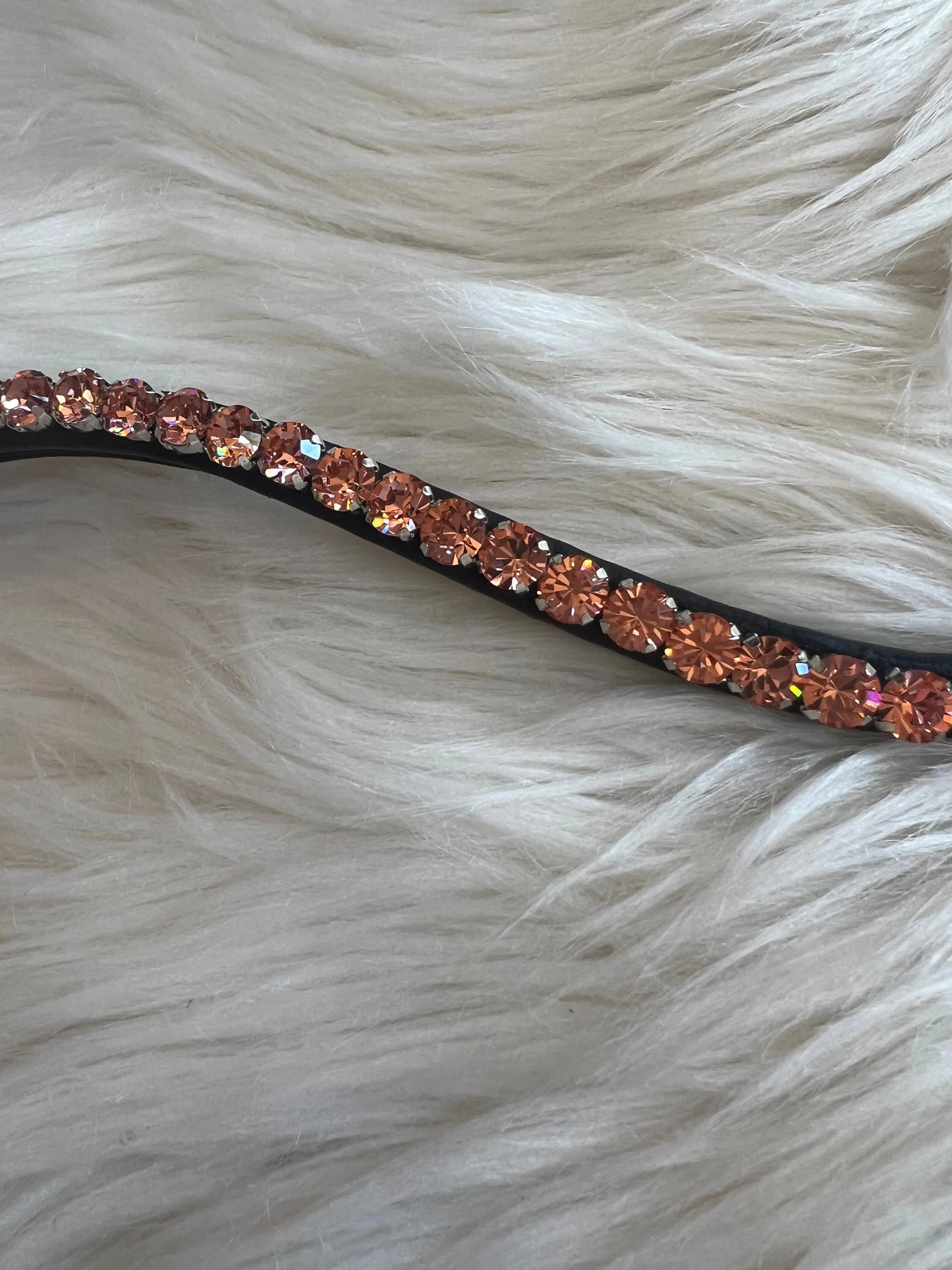 Stirnriemen Slim Apricot CR-Harmonyequestrian