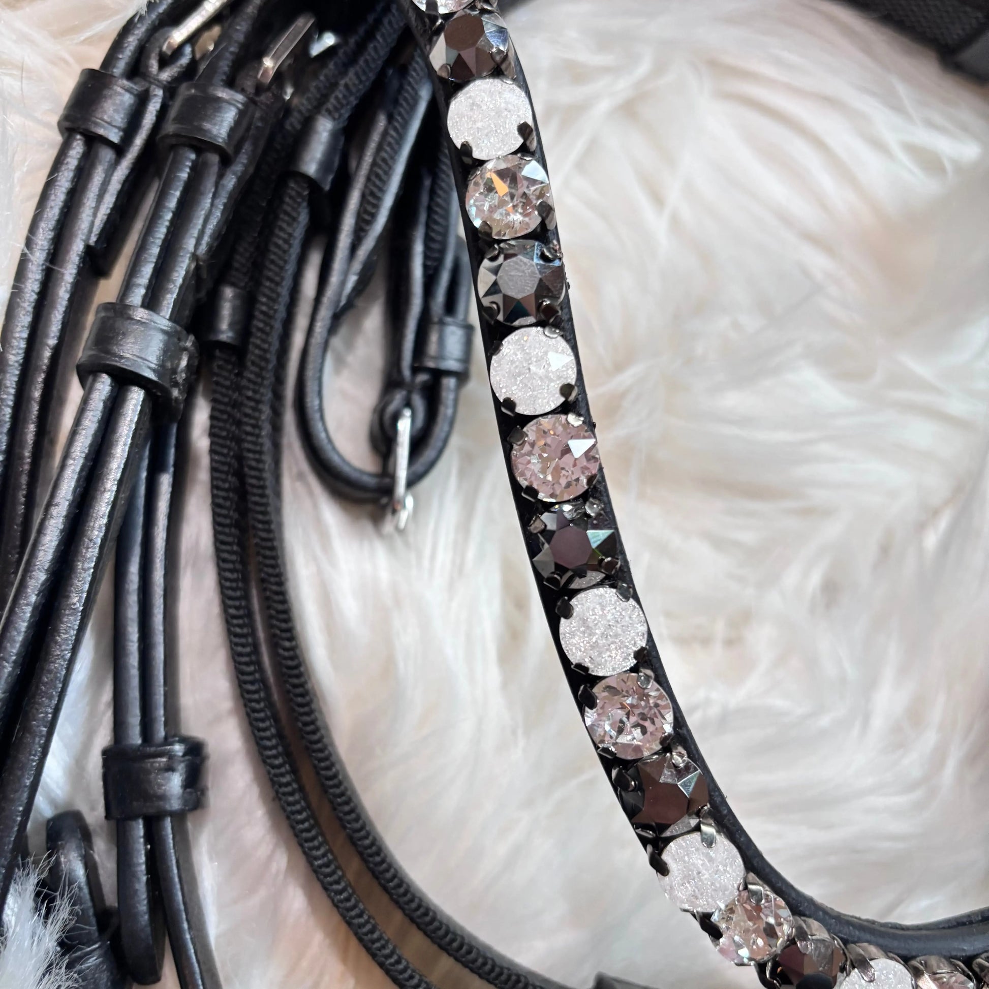 Black Star Ponytrense CR-Harmonyequestrian