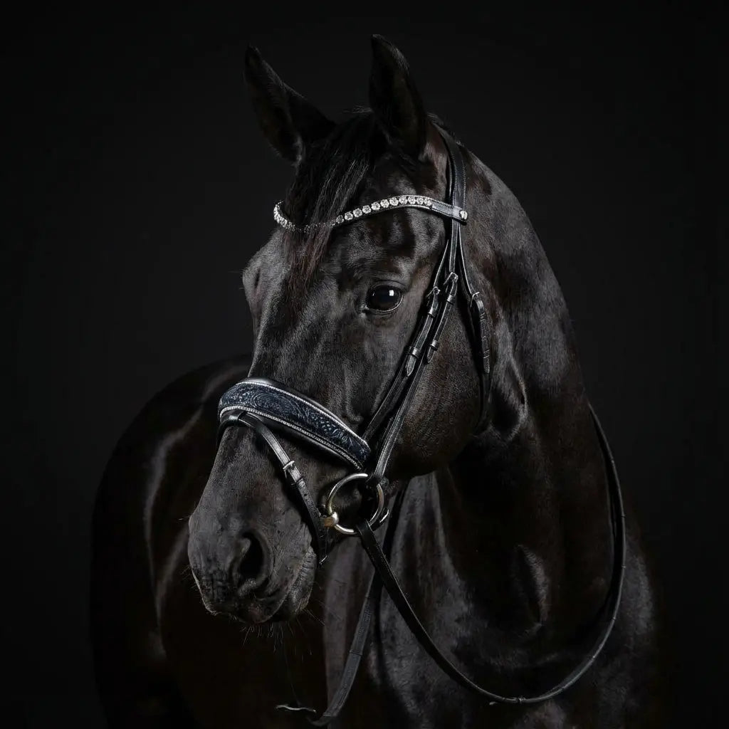 Ridehalfter Blu Fiore CR-Harmonyequestrian