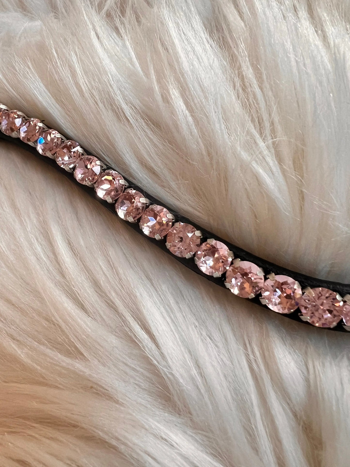 Stirnriemen Slim Rosa CR-Harmonyequestrian