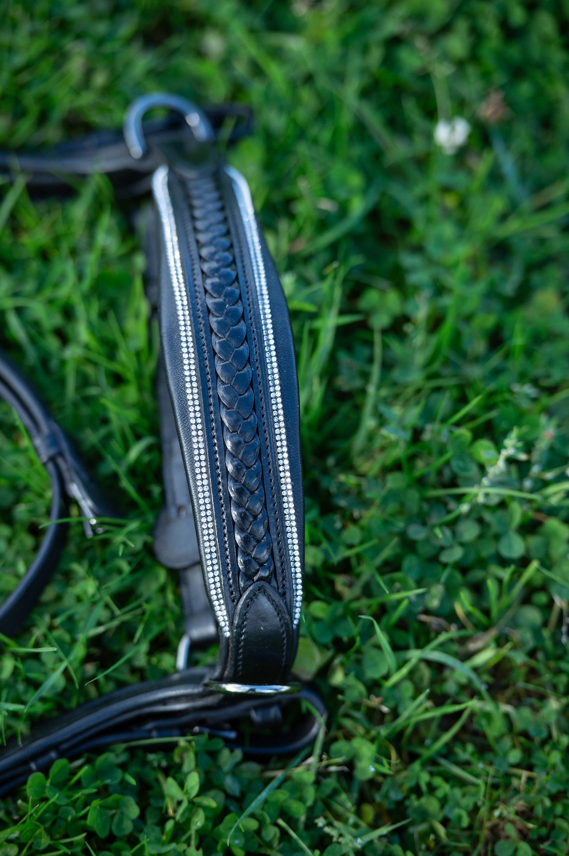 Midnight Supreme - CR-Harmonyequestrian Geflochtene Trense 240.00