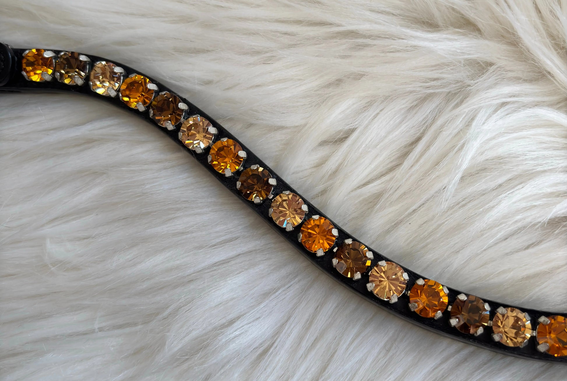 Stirnriemen Autumn CR-Harmonyequestrian