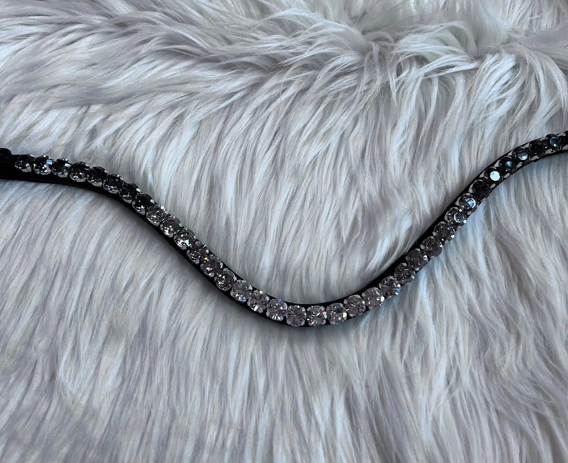 Stirnriemen Dark Light CR-Harmonyequestrian