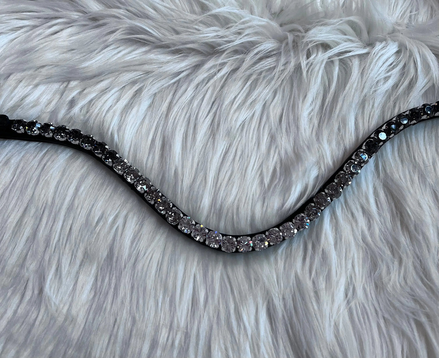 Stirnriemen Dark Light CR-Harmonyequestrian