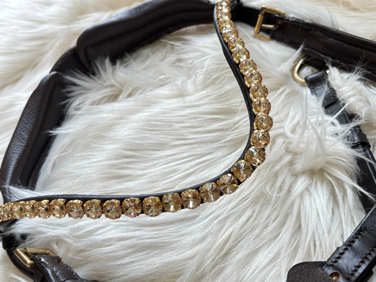 Midnight Supreme – Lack Gold Edition Braun & Schwarz - CR-Harmonyequestrian