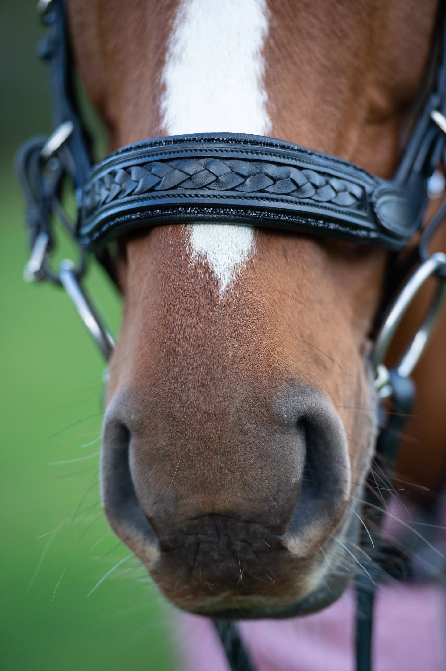 Trense Midnight CR-Harmonyequestrian