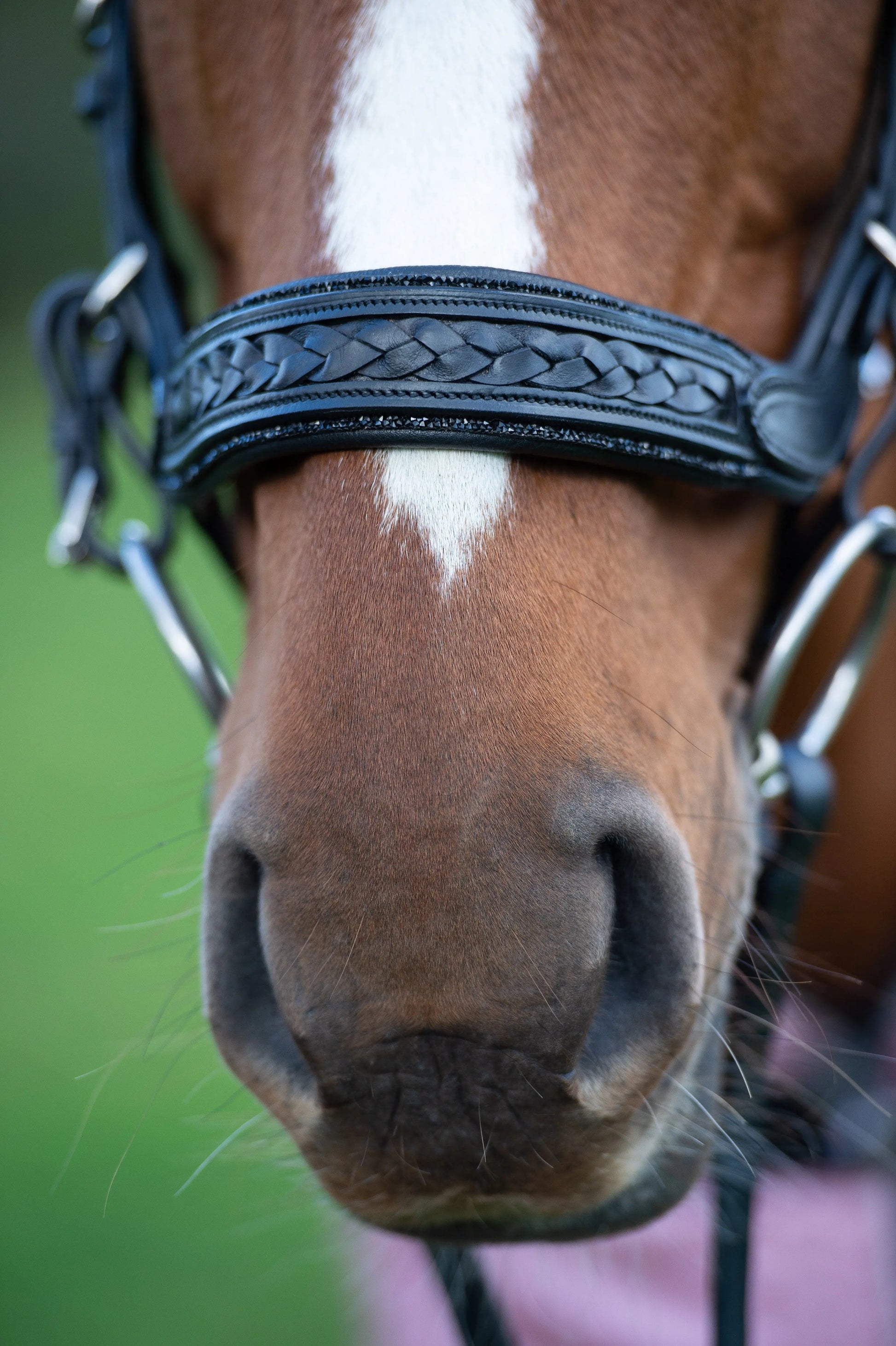 Trense Midnight CR-Harmonyequestrian