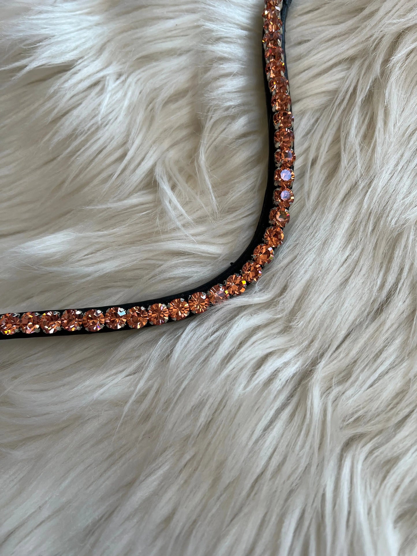 Stirnriemen Slim Apricot CR-Harmonyequestrian