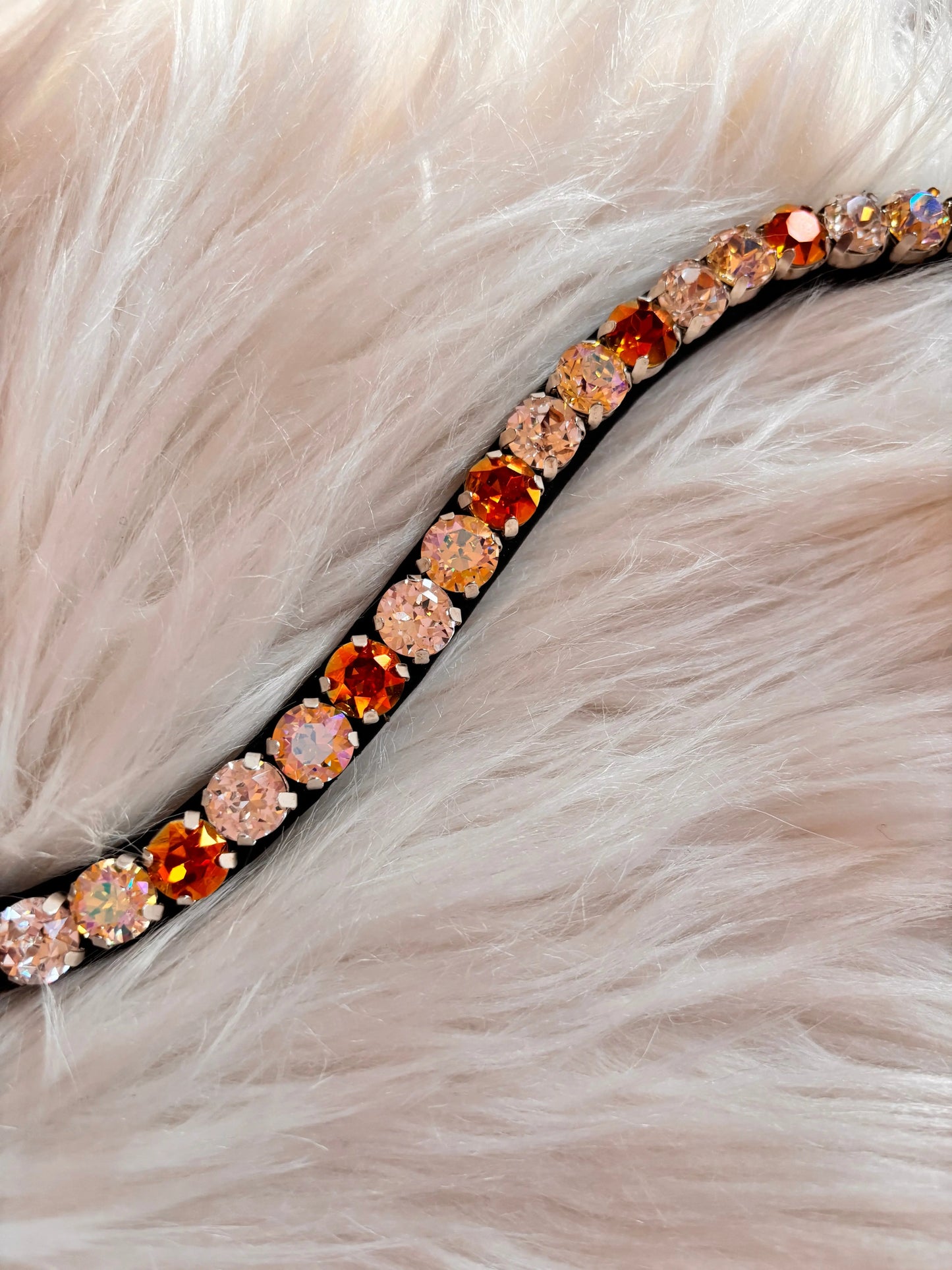 (Kopie) Stirnriemen Pastell CR-Harmonyequestrian