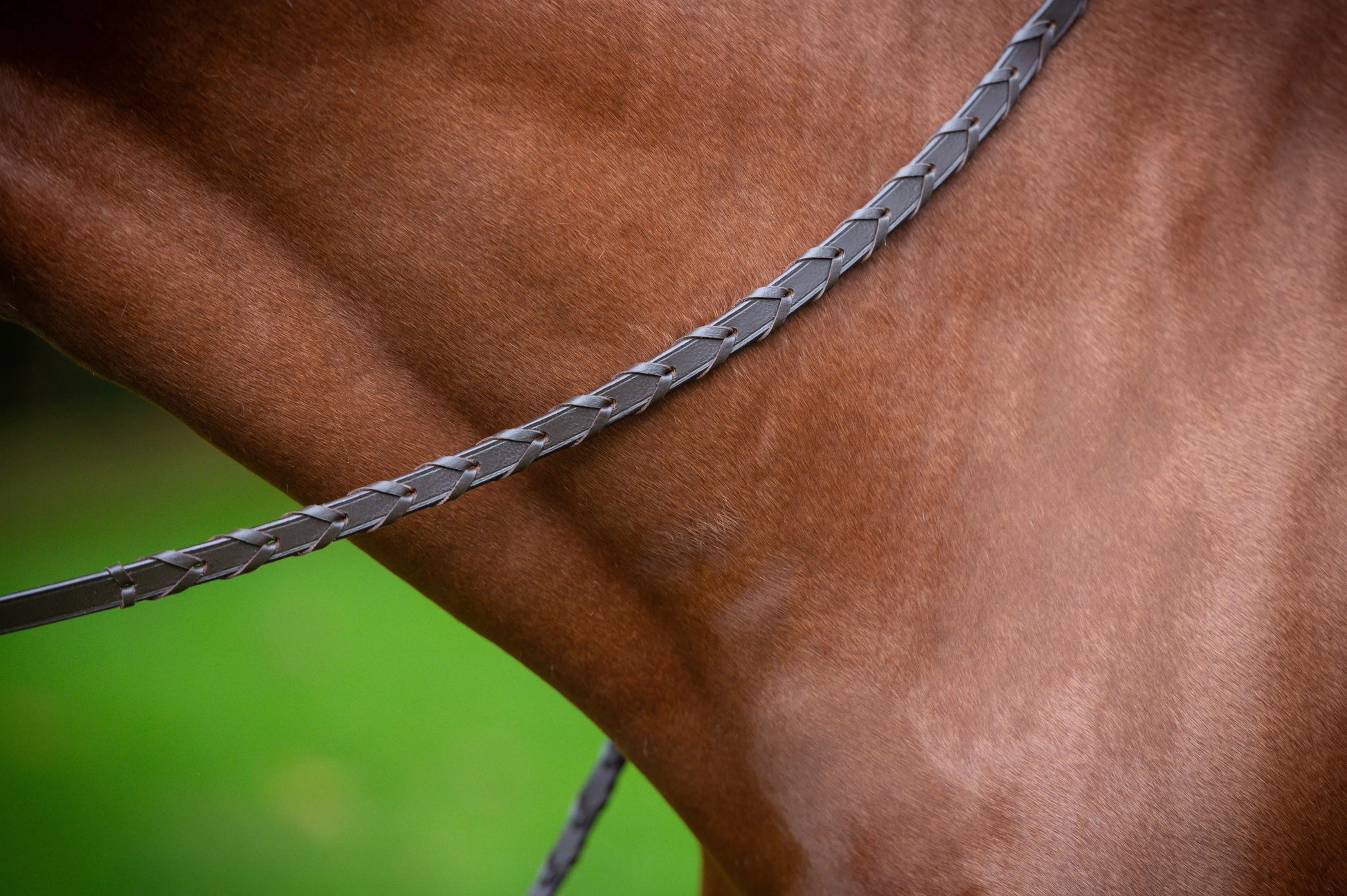 Trense Midnight CR-Harmonyequestrian