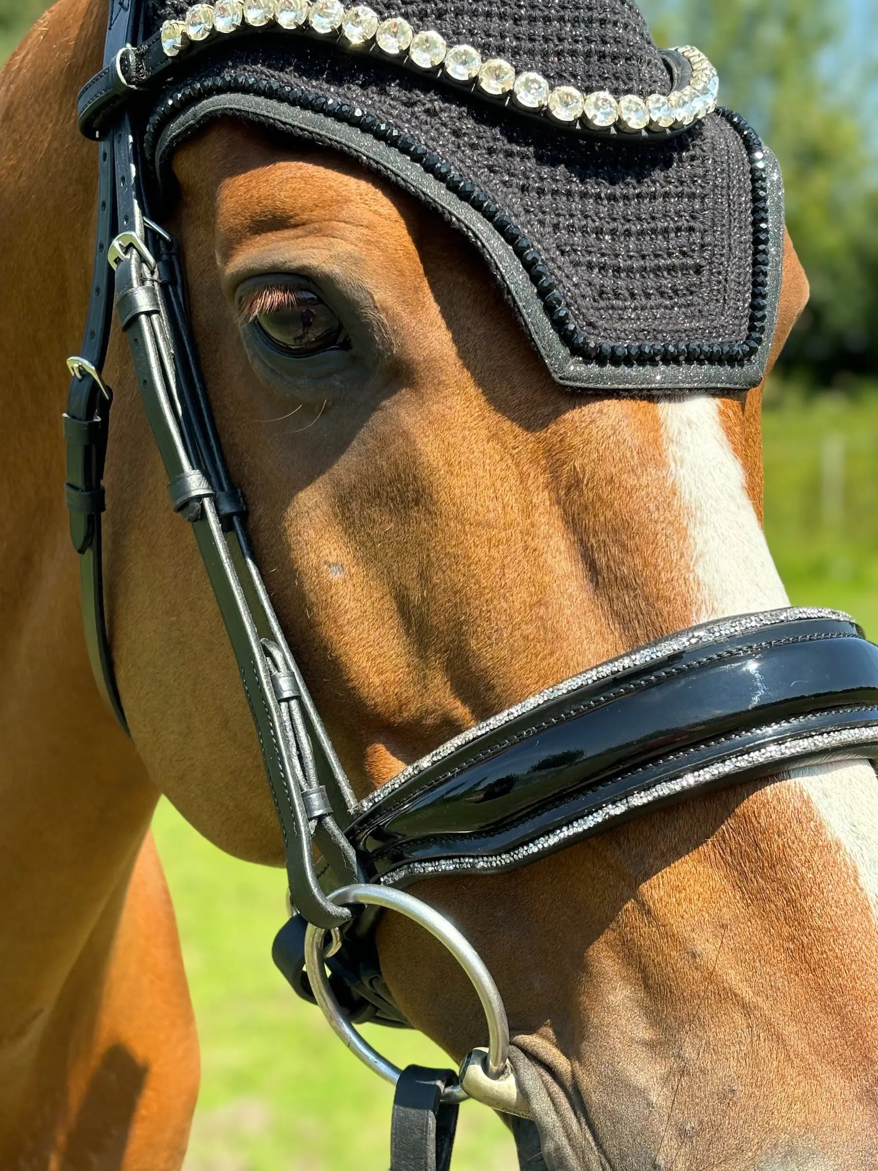 Glamourös Lack Trense schwarz mit Silber Crystal Rocks CR-Harmonyequestrian