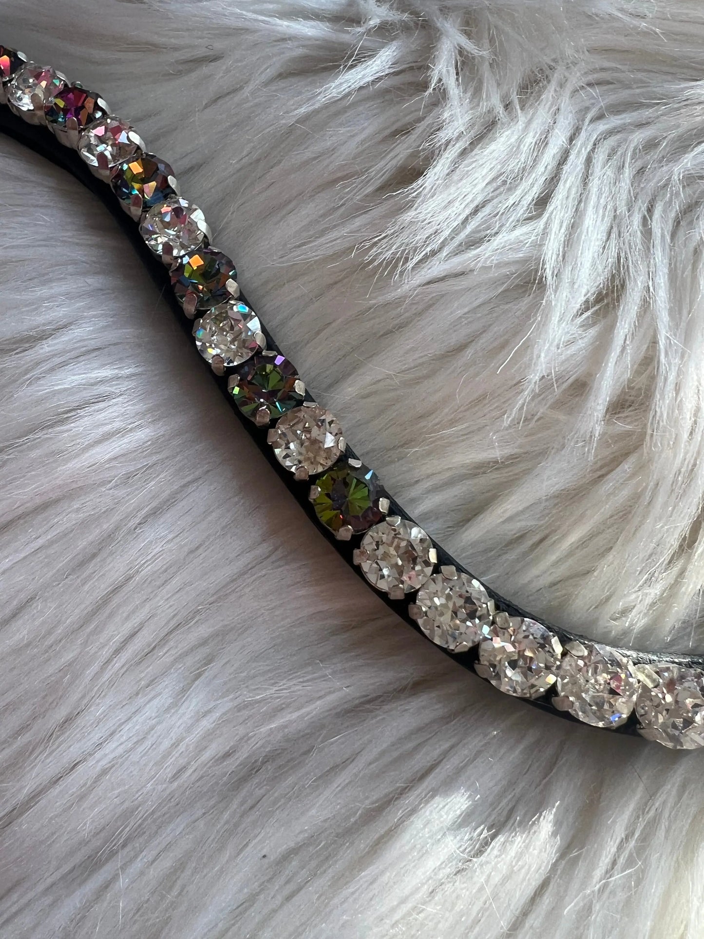 Stirnriemen Obsidian CR-Harmonyequestrian