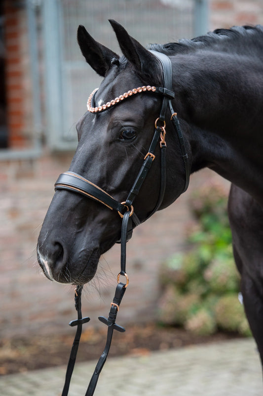 Roségold Editon - Harmony Bridle - gebisslose Trense CR-Harmonyequestrian