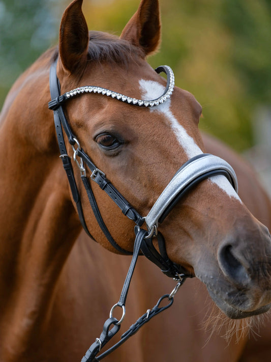 Stirnriemen mit Herz-Crystals – Pony bis X-Full - CR-Harmonyequestrian