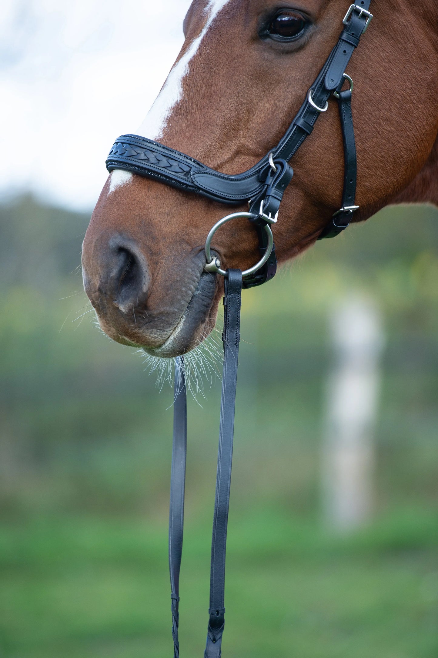 Trense Midnight CR-Harmonyequestrian