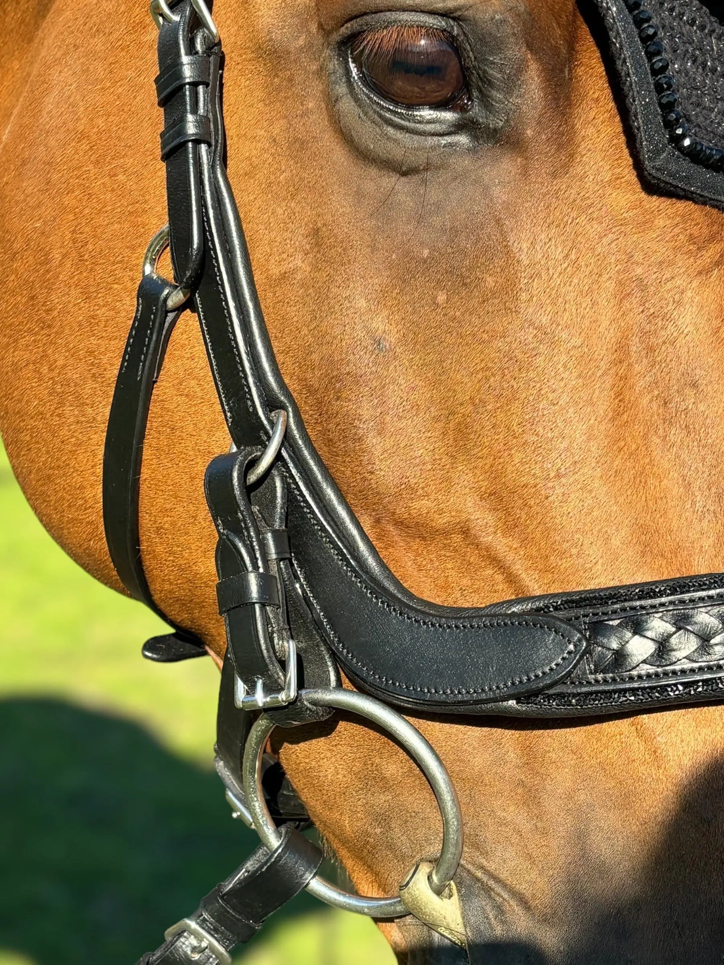 Trense Midnight CR-Harmonyequestrian