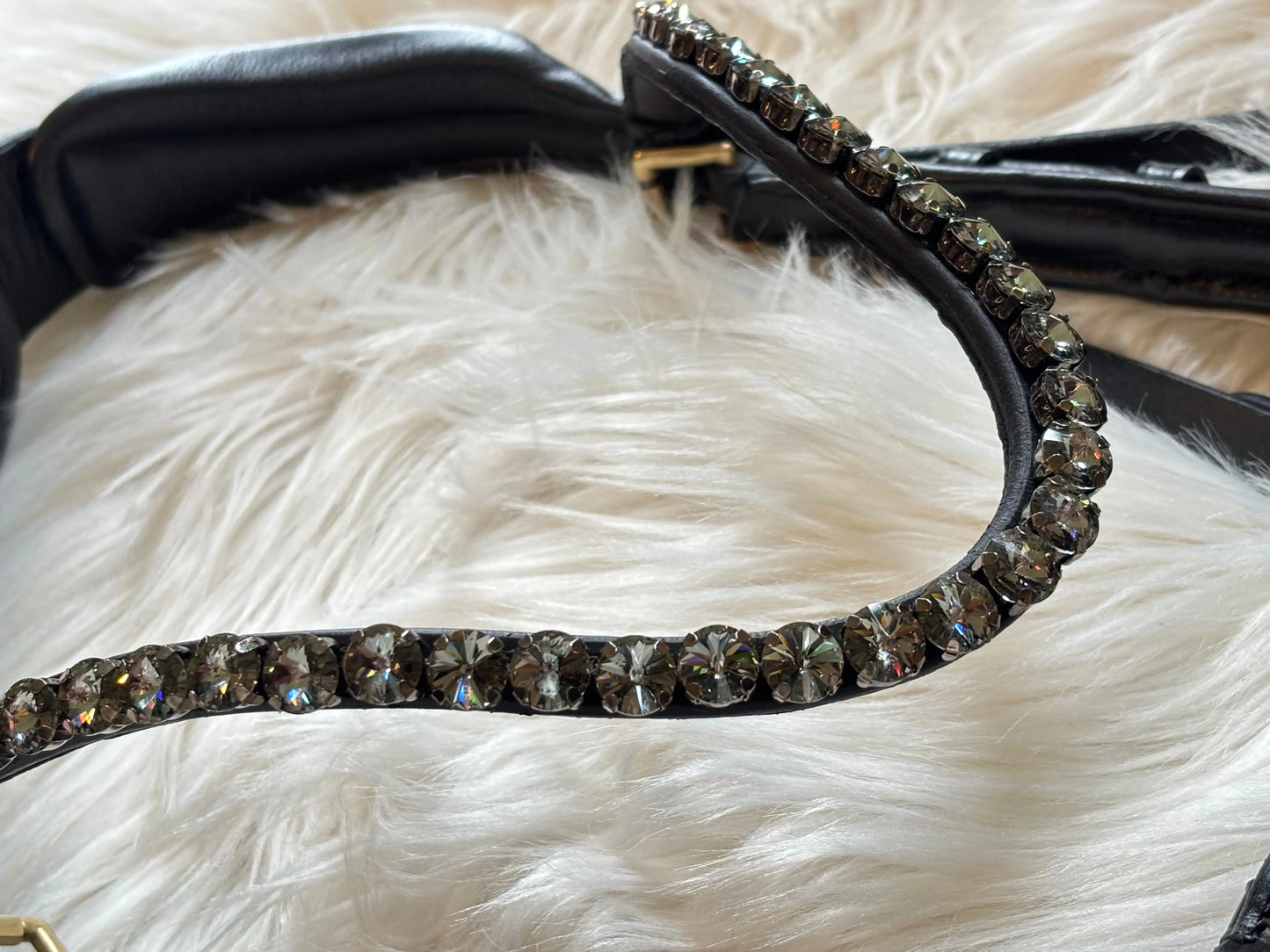 Midnight Supreme – Lack Gold Edition Braun & Schwarz - CR-Harmonyequestrian