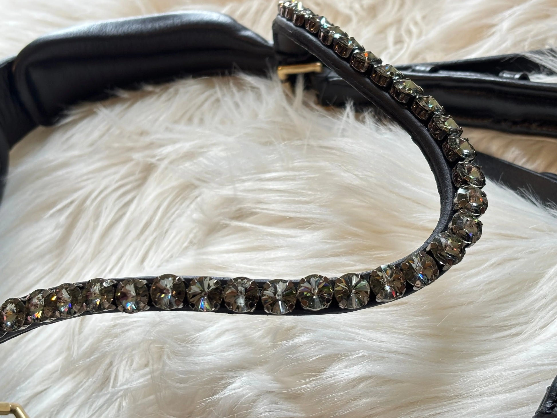 Midnight Supreme – Lack Gold Edition Braun & Schwarz - CR-Harmonyequestrian