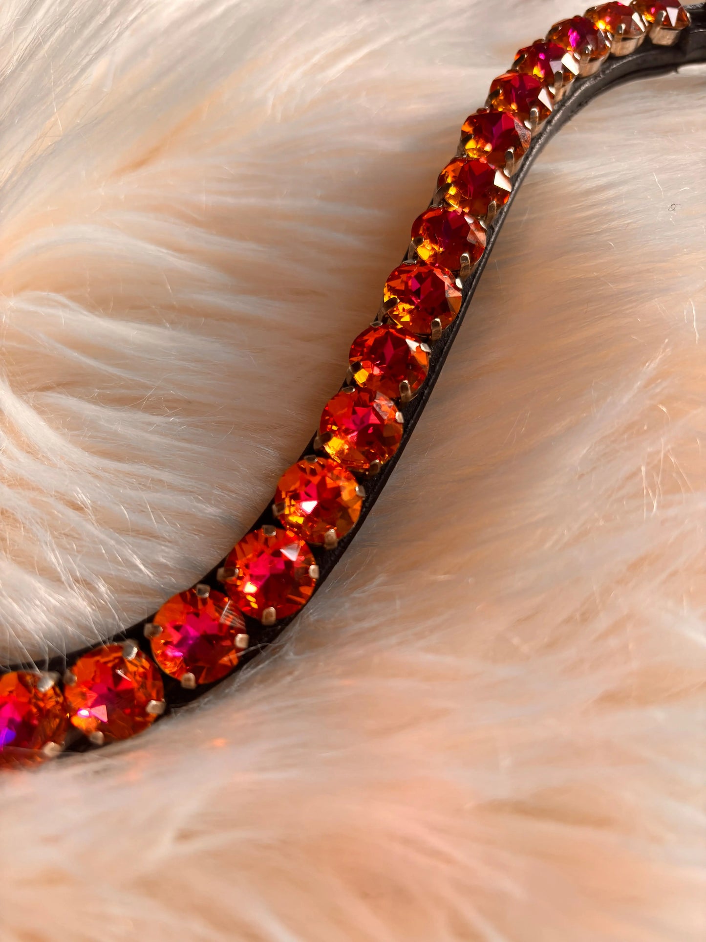 Stirnriemen Big Phoenix Glow CR-Harmonyequestrian