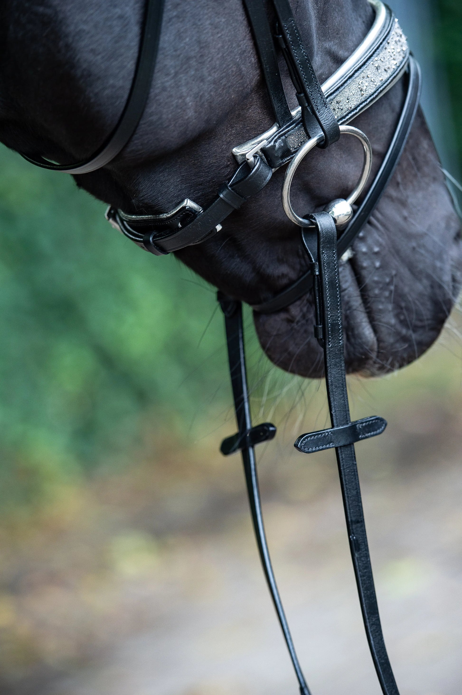 Trense Diamond Dust Vollblut CR-Harmonyequestrian