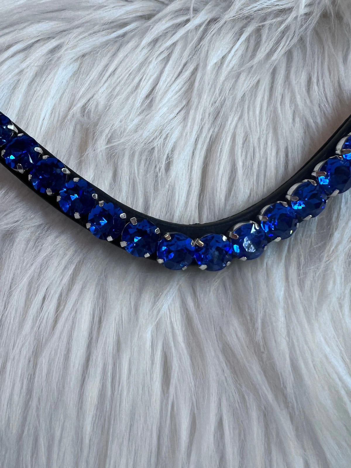 Stirnbånd Big Sapphire CR-Harmonyequestrian