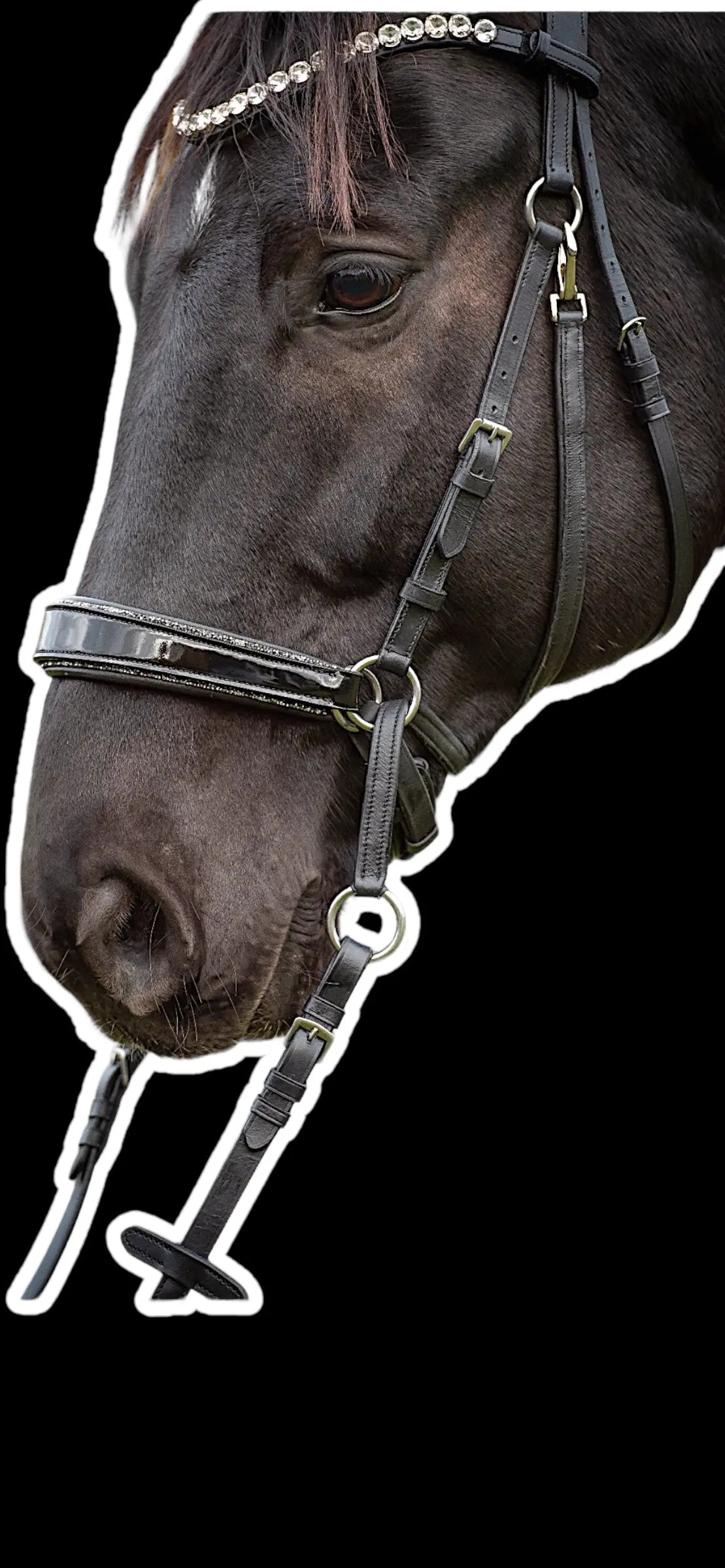 gebisslose Trense in Lack Luxury HB Bridle CR-Harmonyequestrian