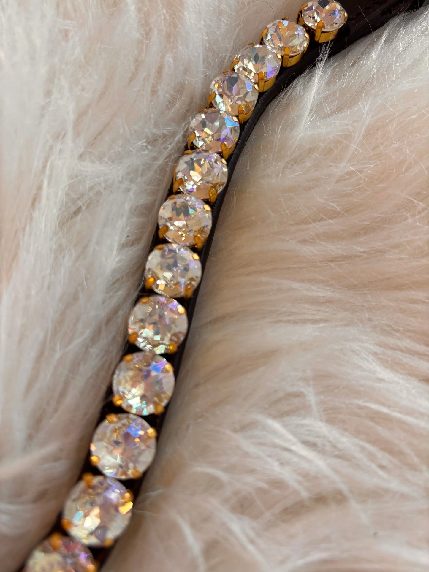 Brauner Stirnriemen Big Light - CR-Harmonyequestrian Stirnriemen